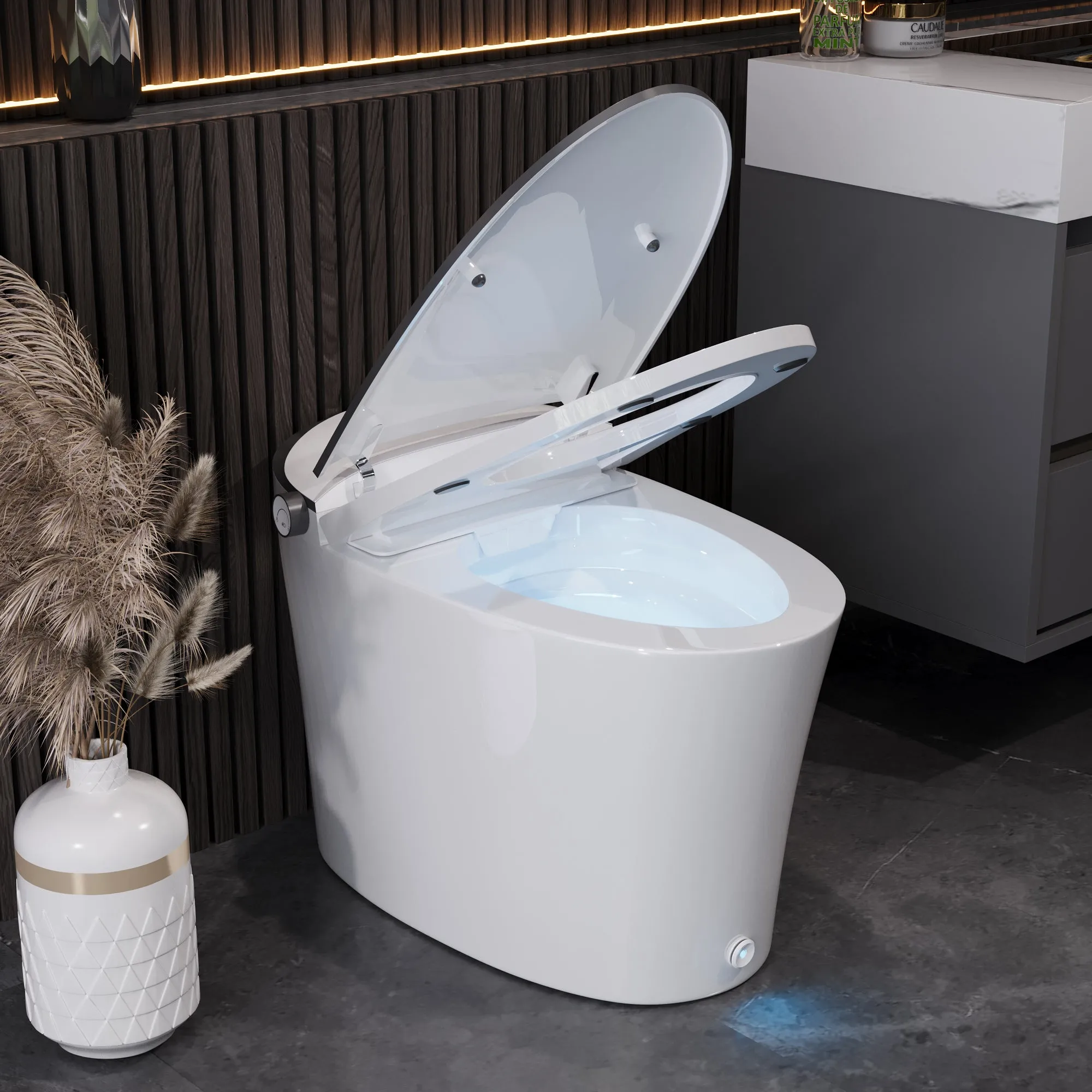 DeerValley DV-1S0019-V3 Smart Bidet Toilet Quiet-Closed Heated Seat Sensor Auto, Foot Kick & Blackout Flush, Warm Wash, Night Light