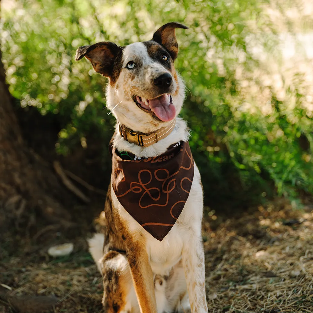 Dog Lover Bundle